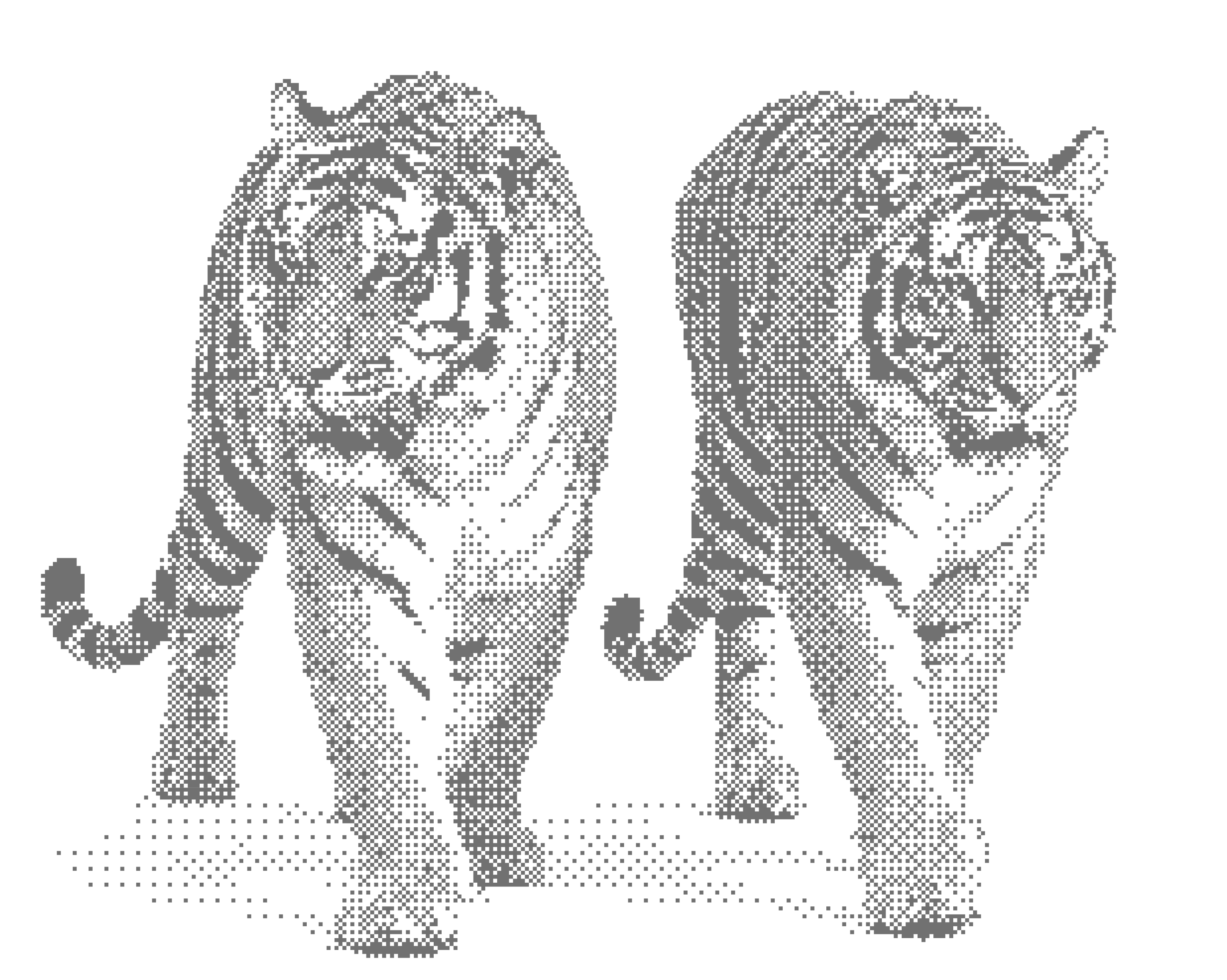 Header Tigers